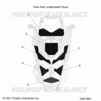 HOOD FOAM/SEAL