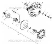 DRIVEN CLUTCH