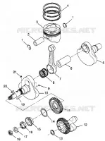 CRANKSHAFT AND PISTON