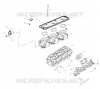 THROTTLE   BODY