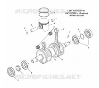 PISTON   CRANKSHAFT (800)