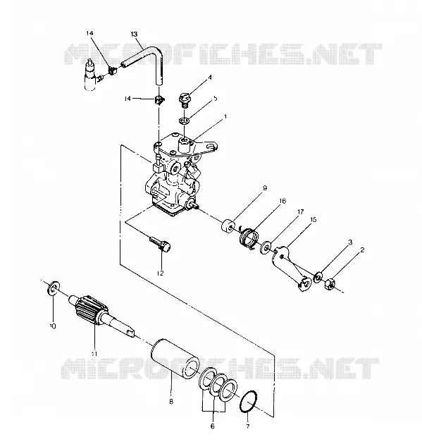 OIL PUMP ASSEMBLY BIG BOSS 4X6 (4919801980039A)