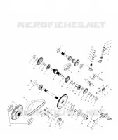 GEARCASE (INTERNAL COMPONENTS)