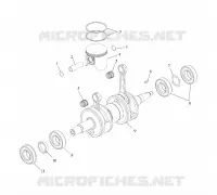 PISTON   CRANKSHAFT