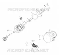 WATER PUMP/OIL PUMP (700)