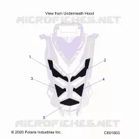 HOOD FOAM/SEAL