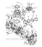 CRANKCASE AND CYLINDER  350 4X4