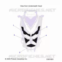 HOOD FOAM/SEAL