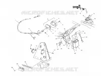 ELECTRICAL/TAILLIGHT