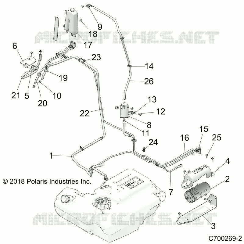 BODY, FUEL LINES, EVAP