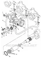 OIL PUMP STORM 0985782 (4943674367D004)