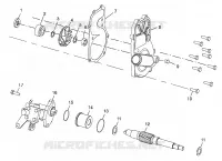 WATER PUMP/OIL PUMP