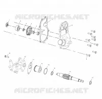 WATER PUMP/OIL PUMP