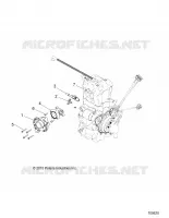 THROTTLE BODY AND FUEL RAIL