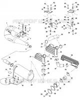EXHAUST SYSTEM