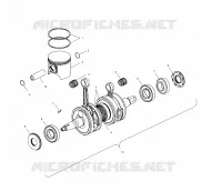 PISTON   CRANKSHAFT