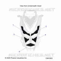 HOOD FOAM/SEAL