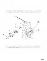 THROTTLE  BODY AND FUEL RAIL