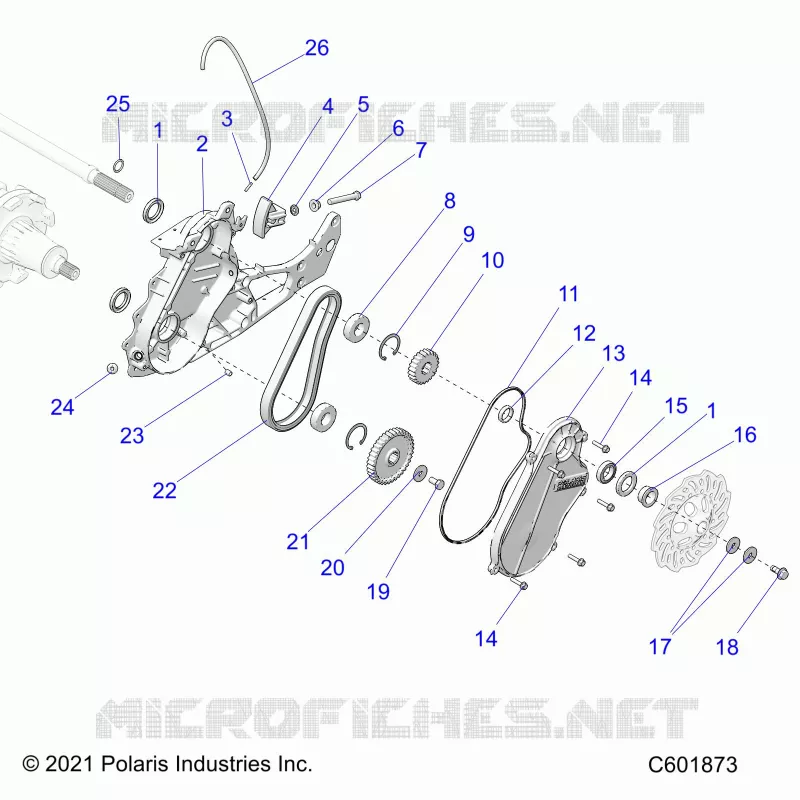 DRIVE TRAIN, CHAINCASE