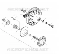 DRIVEN CLUTCH
