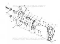 CHAINCASE ASSEMBLY XLT/0930767,XLT SP/0930667    XLT SKS/0930567 (4923012301017A)