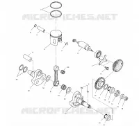 PISTON   CRANKSHAFT (SPORT)