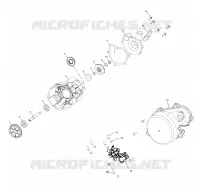 WATER PUMP/OIL PUMP