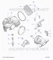 ENGINE, THROTTLE BODY AND FUEL RAIL