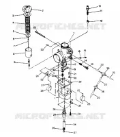 CARBURETOR '500 AND 500 CLASSIC (4919251925030A)