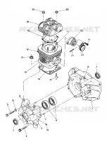 CRANKCASE AND CYLINDER      STAR AND STARTRAK (4916811681033A)