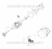 WATER PUMP/OIL PUMP