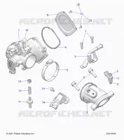 ENGINE, THROTTLE BODY AND FUEL RAIL