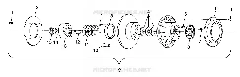 DRIVEN CLUTCH