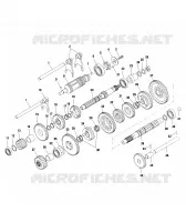 CLUTCH