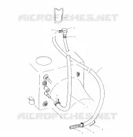 WATER SIPHON