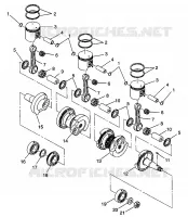 PISTON   CRANKSHAFT XLT LTD 0973756 AND EUROPEAN XLT LTD E973756 (4937793779C006)