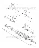 PISTON AND CRANKSHAFT (SS) (4909540954023A)