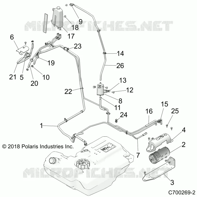 BODY, FUEL LINES, EVAP