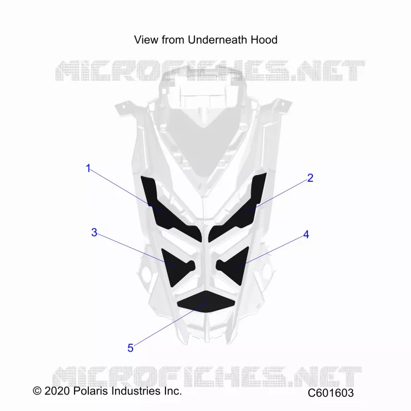 HOOD FOAM/SEAL
