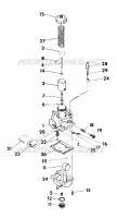 CARBURETOR ASSEMBLY (4918531853039A)