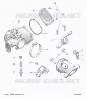 ENGINE, THROTTLE BODY AND FUEL RAIL