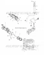 THROTTLE  BODY AND INJECTOR