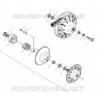DRIVEN CLUTCH