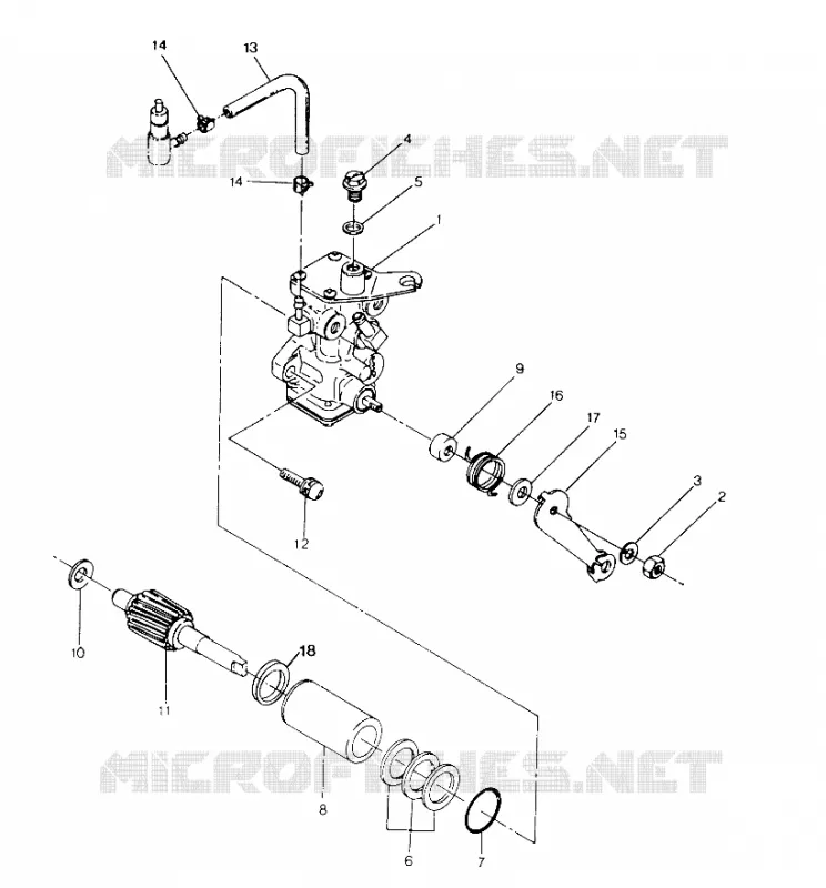 OIL PUMP ASSEMBLY 250 4X4 / W928127 (4922872287D001)