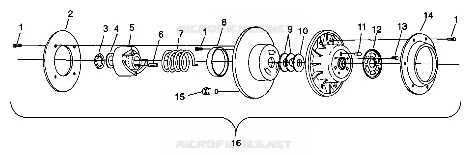 DRIVEN CLUTCH
