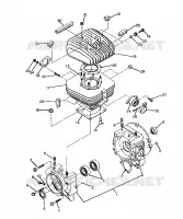CRANKCASE AND CYLINDER TRAIL BLAZER (4919761976033A)