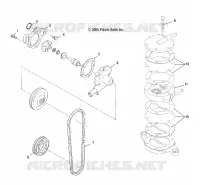 WATER PUMP/FUEL PUMP