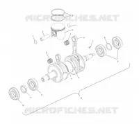 PISTON   CRANKSHAFT (700)