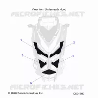HOOD FOAM/SEAL