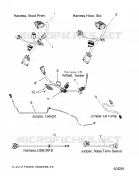 ELECTRICAL, JUMPERS/WIRE HARNESS